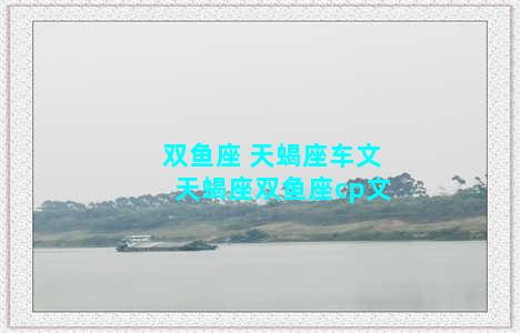 双鱼座 天蝎座车文 天蝎座双鱼座cp文